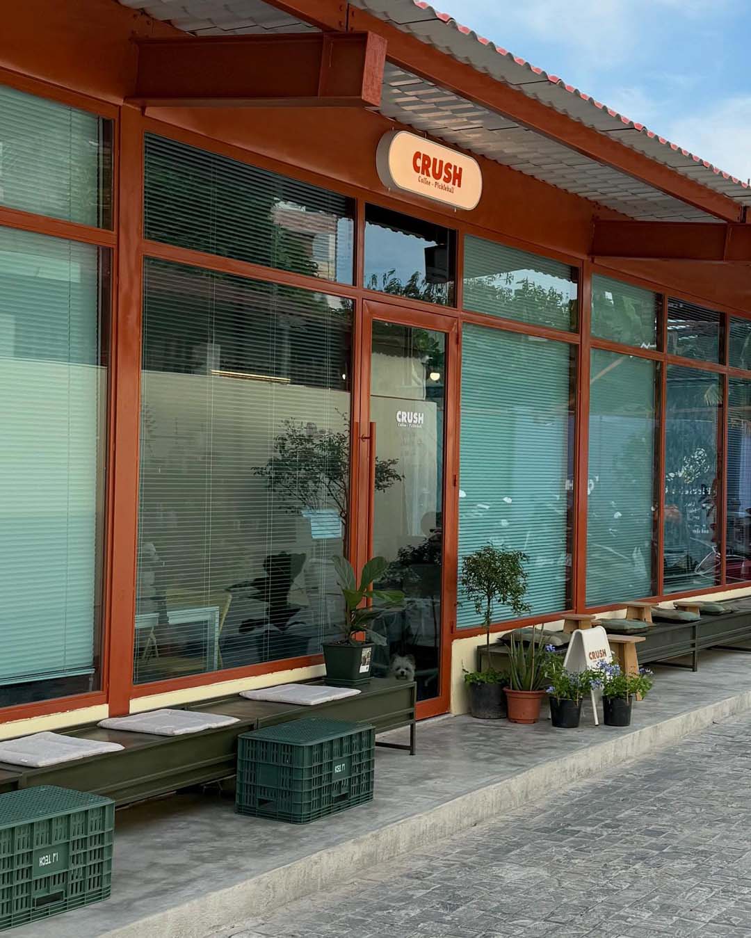 quán kết hợp mô hình Pickleball + Cafe